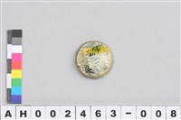 藏品(玉核心)的圖片